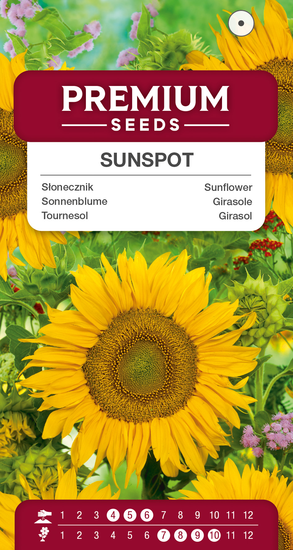 SWIA-WO-BL-12278_VS Sunflower – Sunspot – seeds