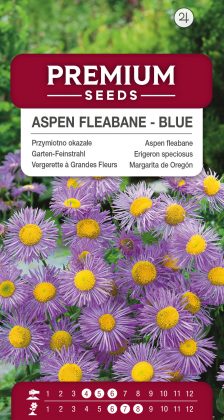 Aspen fleabane – seeds