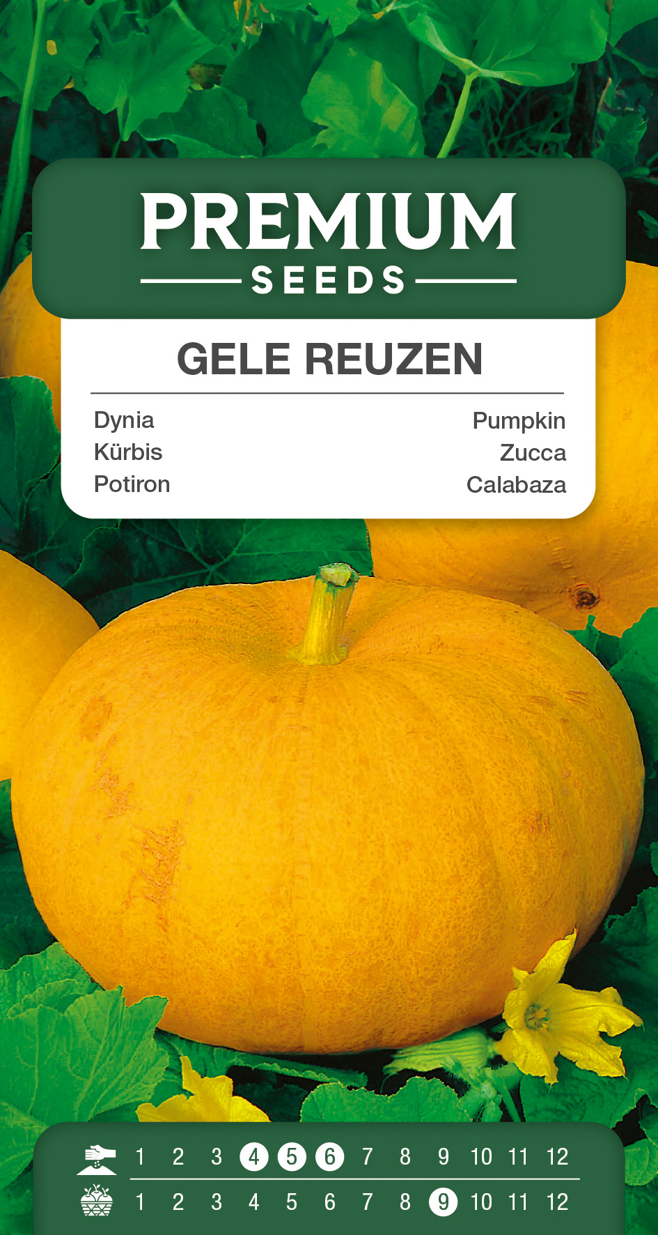 SWIA-WO-GE-11025_VS Pumpkin – Gele Reuzen – seeds