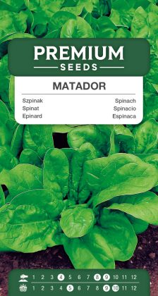 Spinach – Matador – seeds