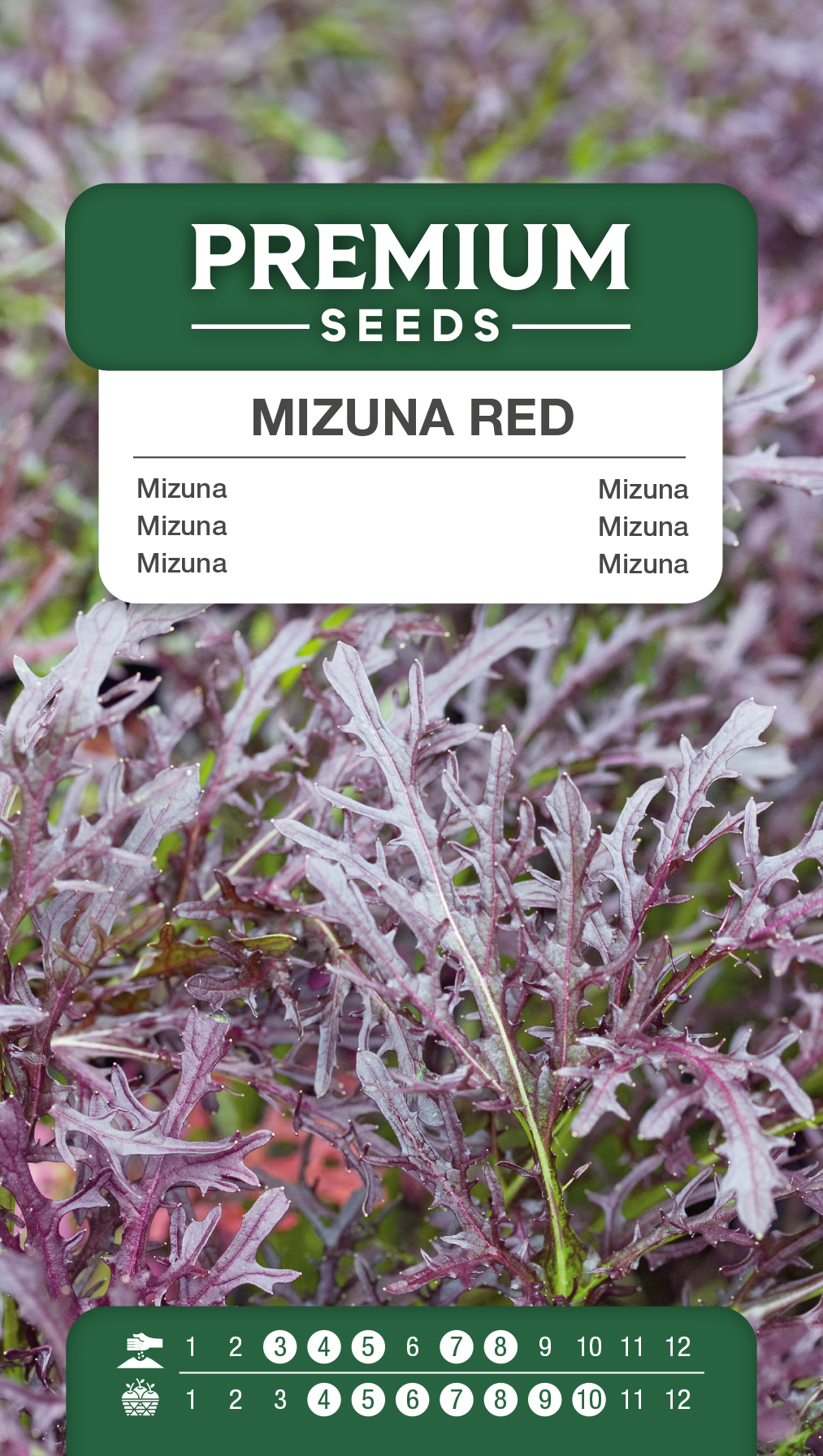 SWIA-WO-GE-11065_VS Mizuna red – seeds