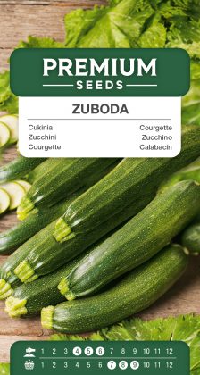 Courgette – Zuboda – seeds