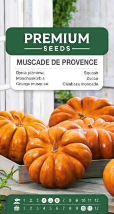 Squash – Muscade de Provence – seeds