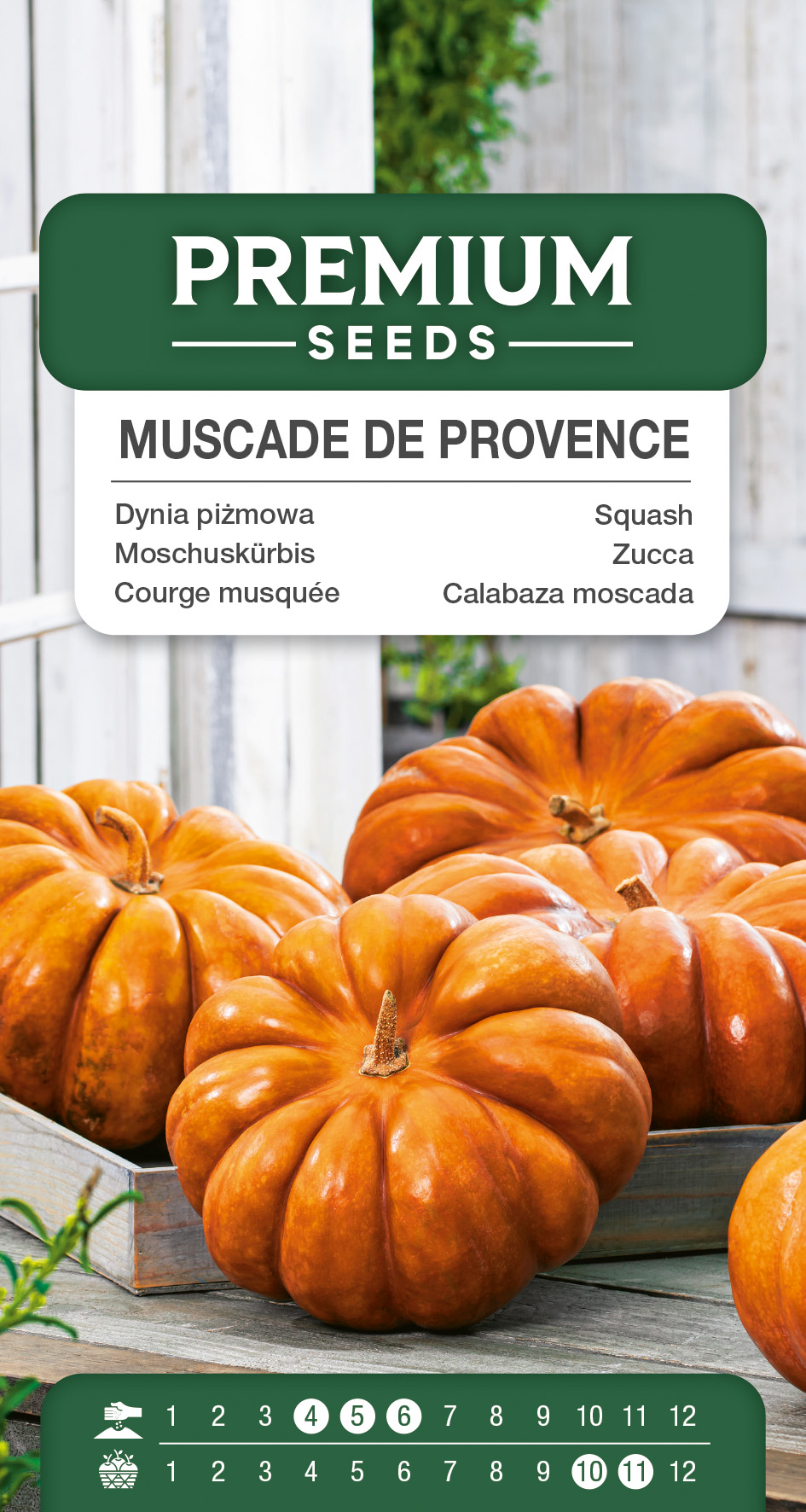 SWIA-WO-GE-11132_VS Squash – Muscade de Provence – seeds