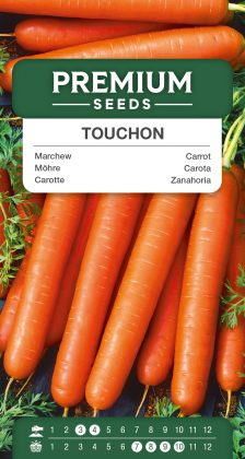 Carrot – Touchon – seeds