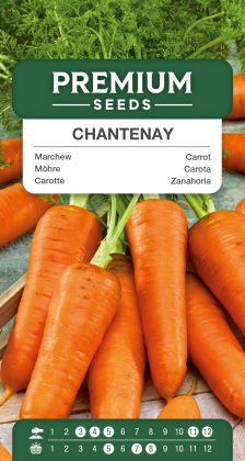 Carrot – Chantenay – seeds