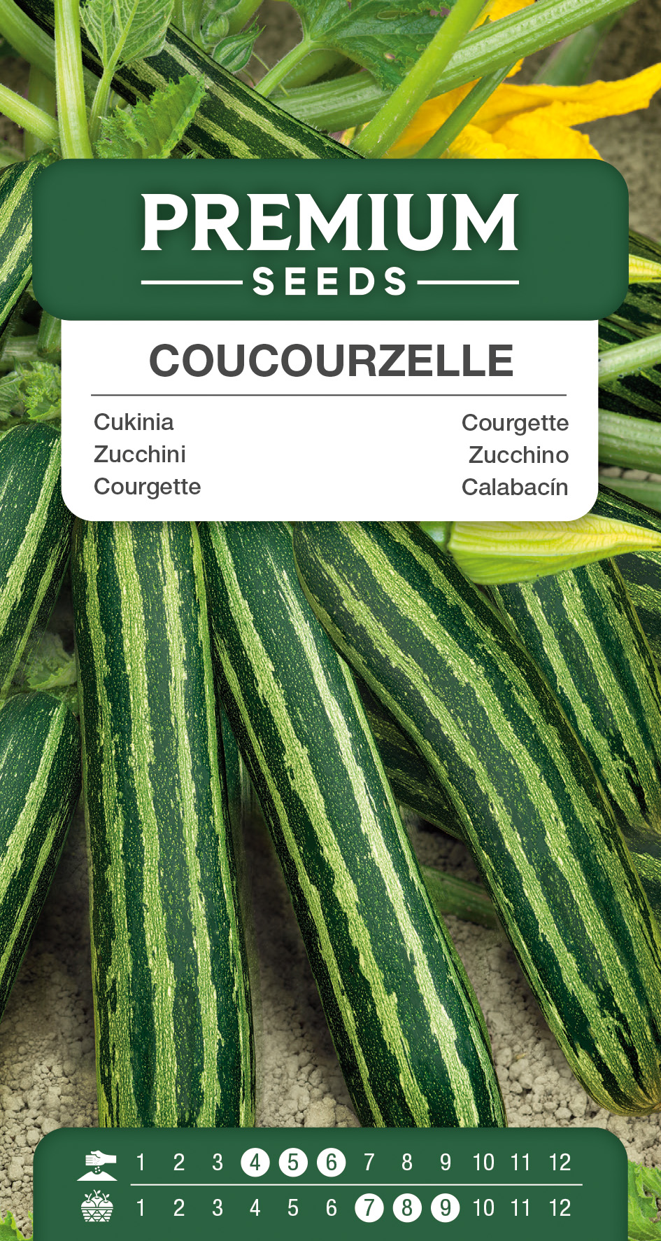SWIA-WO-GE-11259_VS Courgette – Coucourzelle – seeds