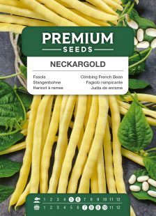 Climbing French Bean – Neckargold – seeds