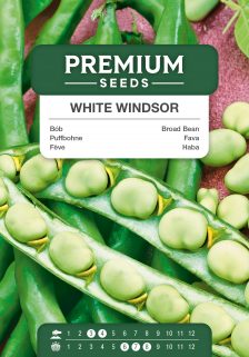 Broad Bean White Windsor – seeds
