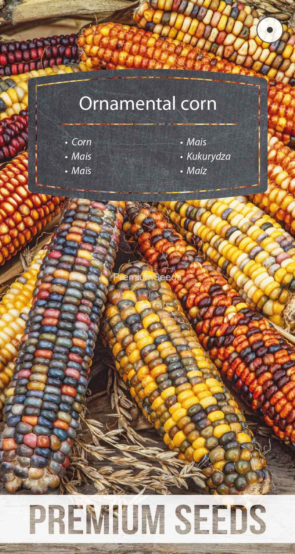 WORLD 10084664PA_VS Ornamental corn - seeds
