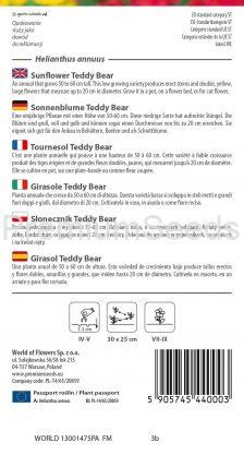 Girasol Teddy Bear- semillas
