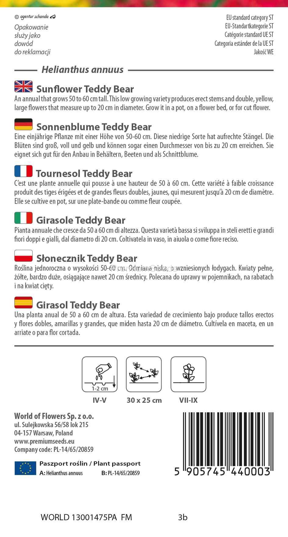 WORLD 13001475PA_RS Girasol Teddy Bear- semillas