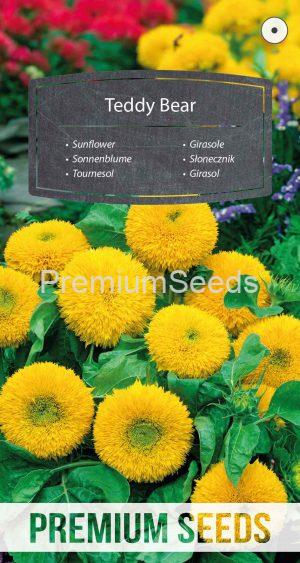 Sunflower Teddy Bear - seeds