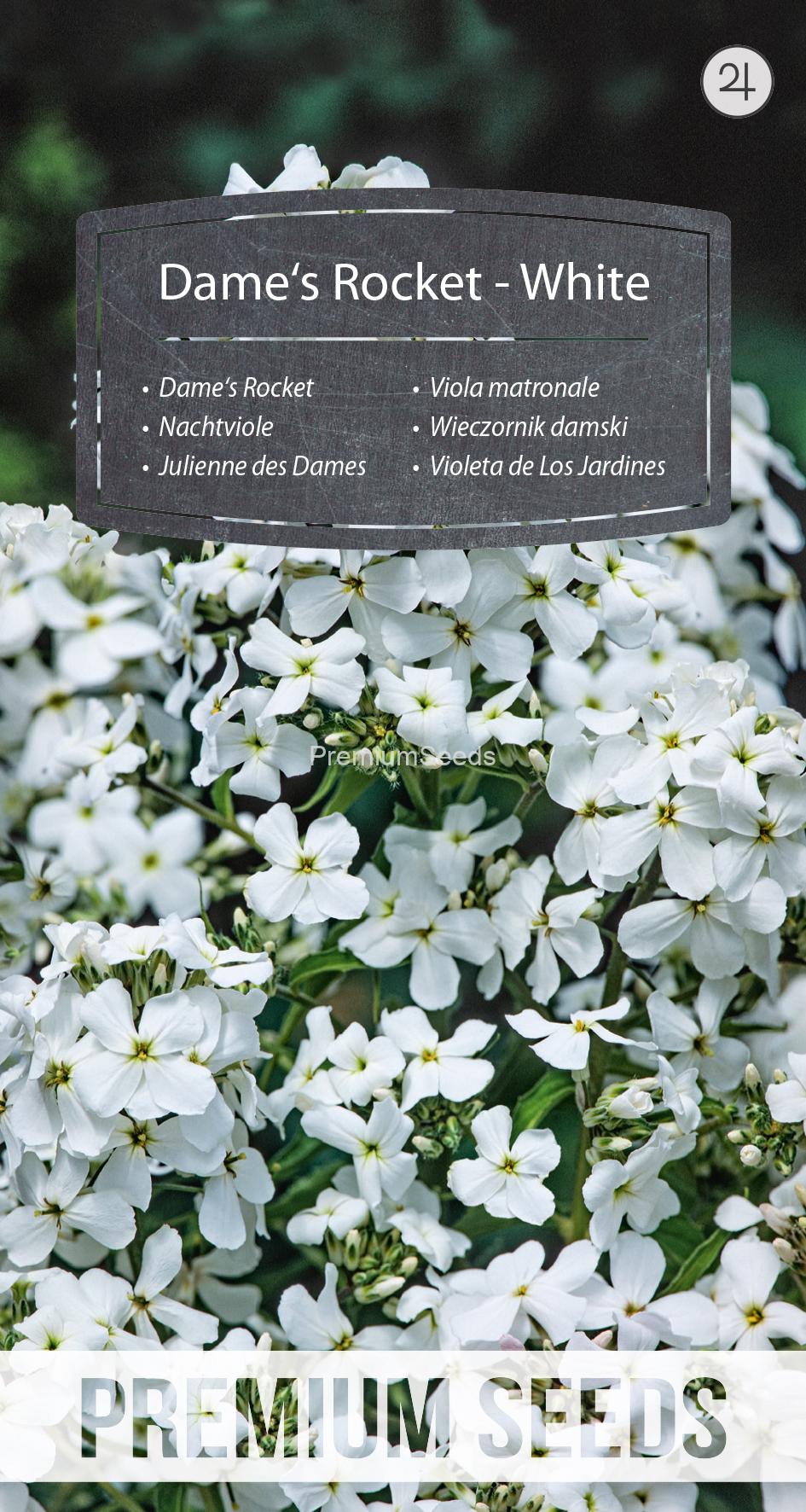 WORLD 13007387PA.indd Carraspique Flor de Jacinto - Blanco - semillas