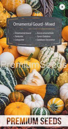 Zucca ornamentale - Miscuglio - semi