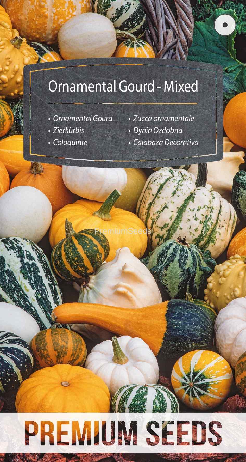 WORLD 13009360PA_VS Ornamental Gourd - Mixed - seeds