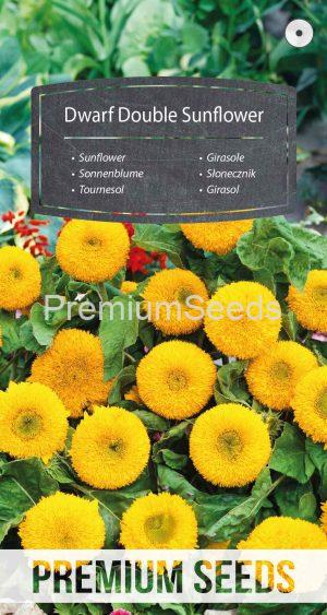 Girasol Doble Enano - semillas