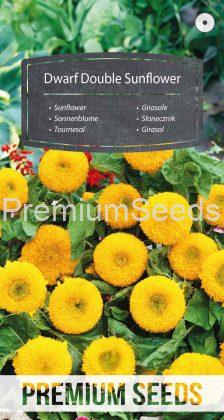 Dwarf Double Sunflower - seeds