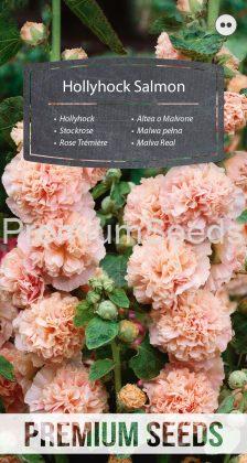 Stockrose - Lachs - Samen