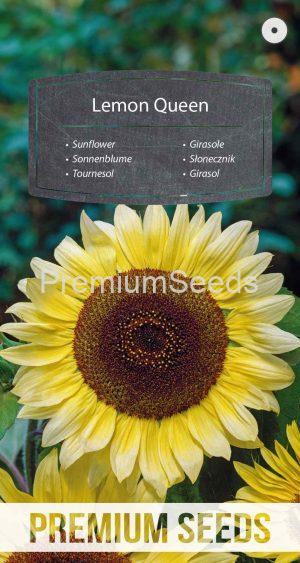 Girasol Lemon Queen - semillas