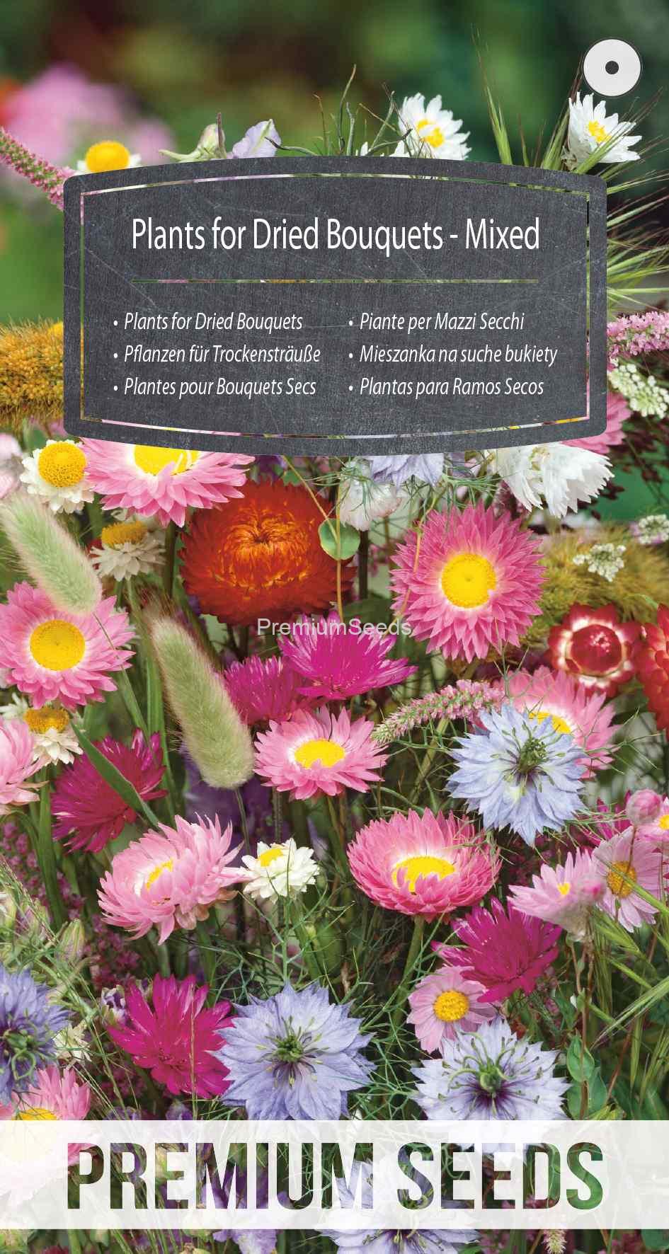 WORLD 14003511PA_VS Plants for Dried Bouquets - Mixed - seeds