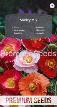 Klatschmohn Shirley Mix - Samen