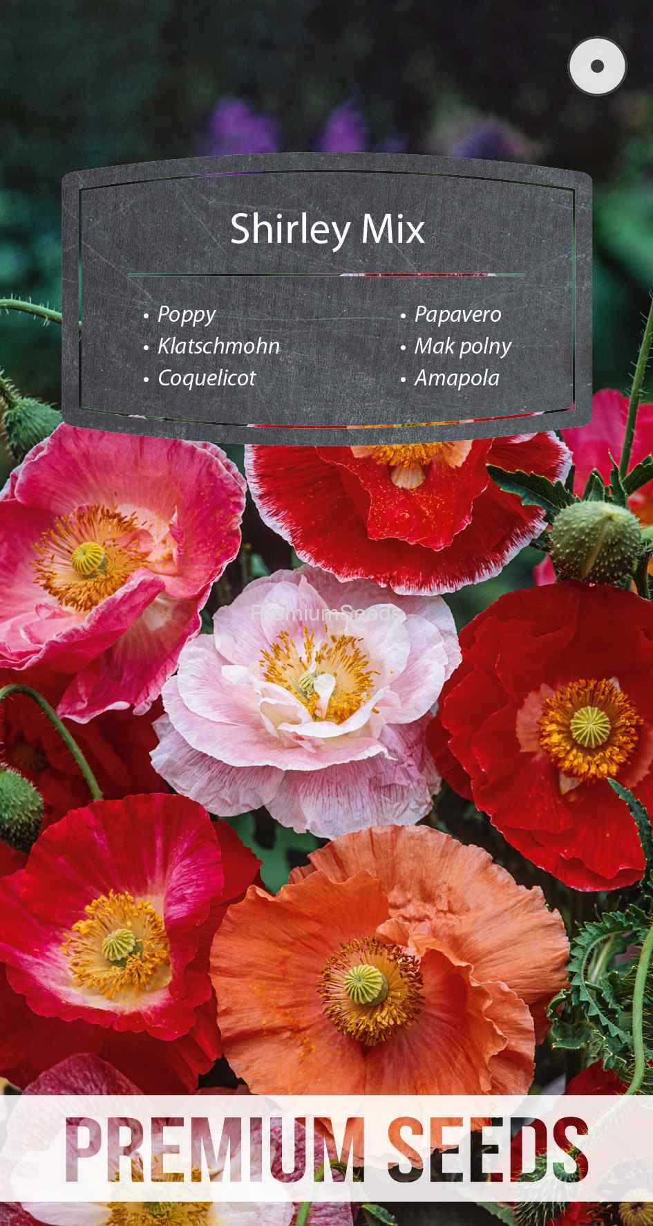 WORLD 14011782PA_VS Coquelicot Shirley Mix - semences