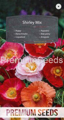 Amapola Shirley Mix - semillas