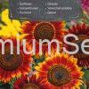 Girasol Evening Sun - semillas