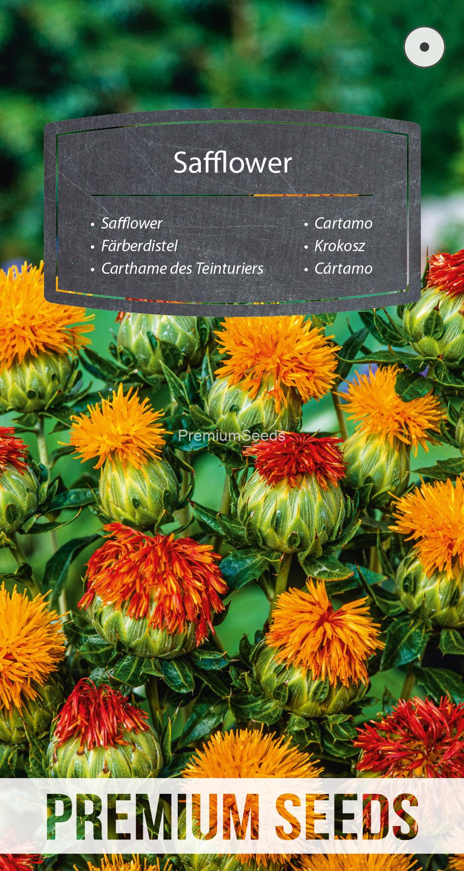 WORLD 14017417PA.indd Safflower - seeds