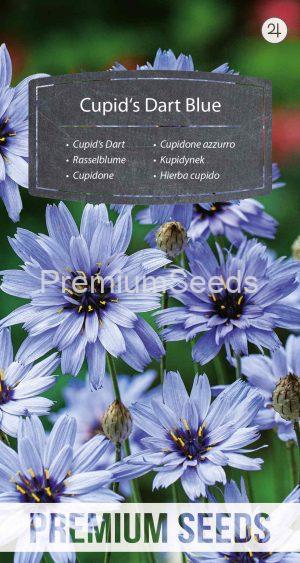 Cupid's Dart blue - seeds