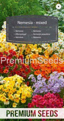Nemesia - mixed - seeds