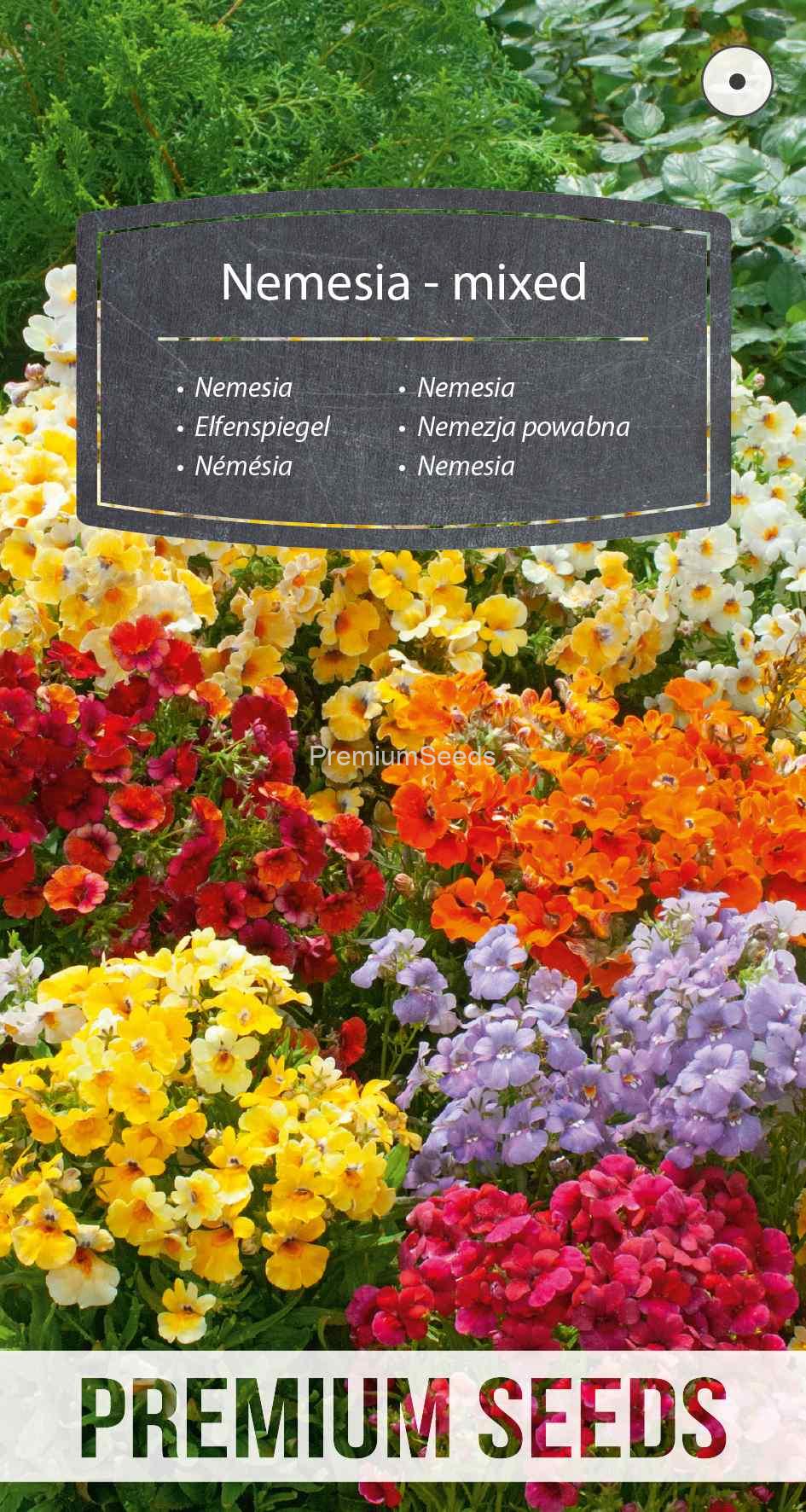 WORLD 14110481PA_VS Nemesia - mixed - seeds