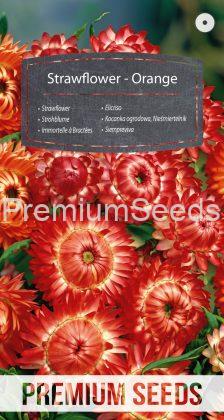 Strawflower - Orange - seeds