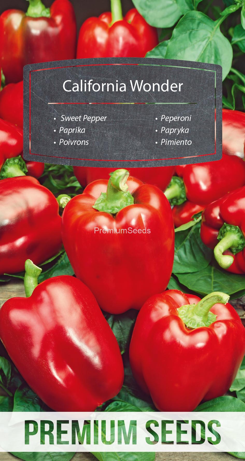 WORLD 14169698PA.indd Papryka - California Wonder – nasiona