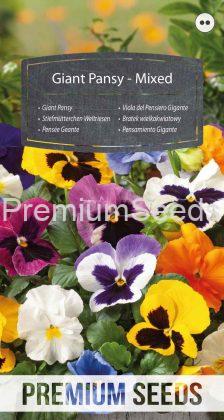 Giant Pansy - Mixed - seeds