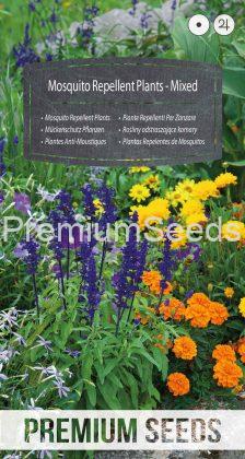 Mosquito Repellent Plants Mixed - seeds