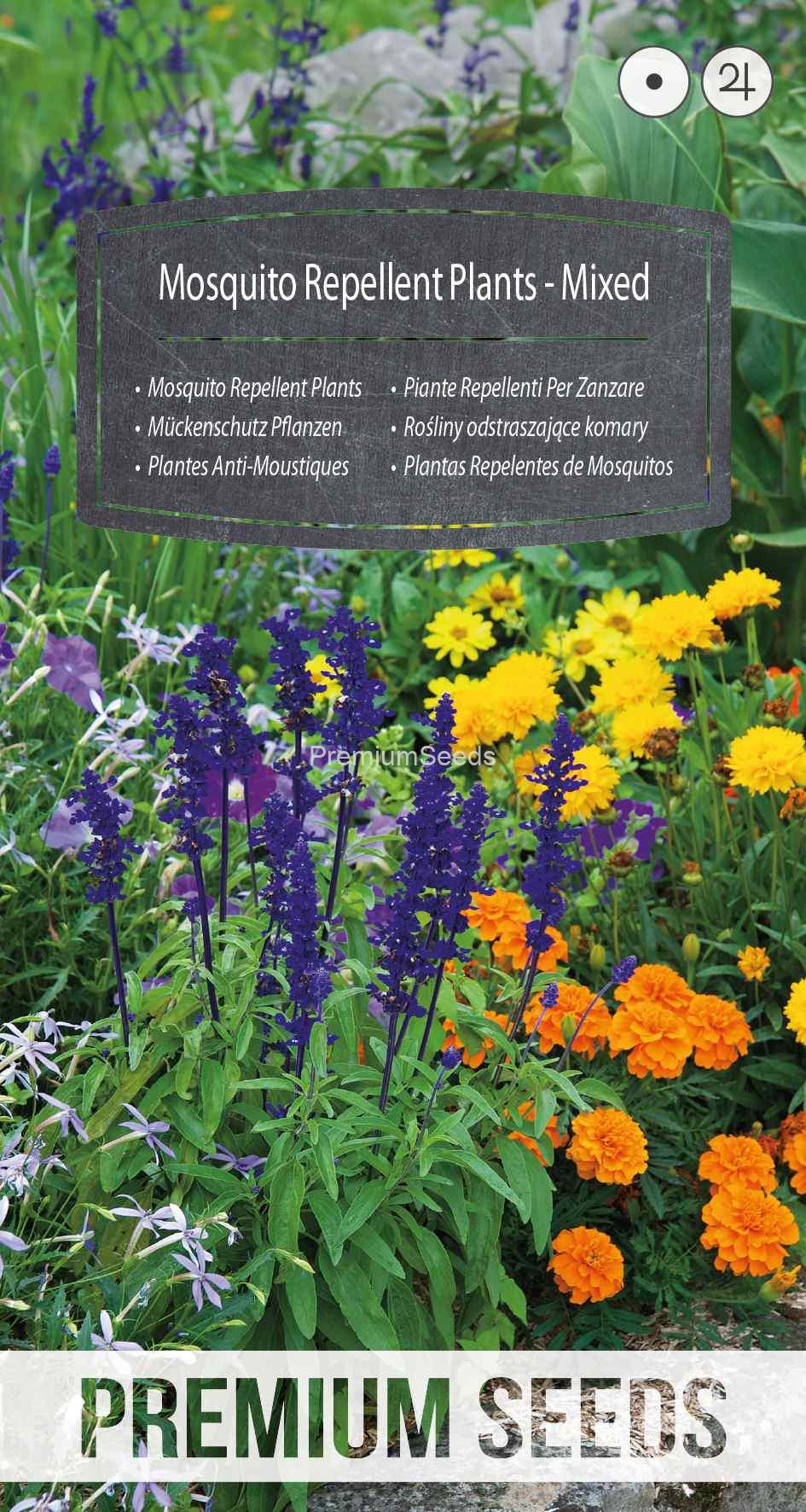 WORLD 14235578PA_VS Plantes Anti-Moustiques - Mélange - semences