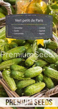 Cucumber Vert petit de Paris - seeds
