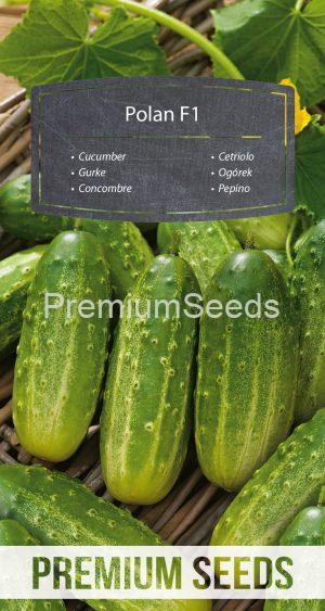 Cucumber Polan F1- seeds