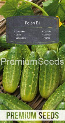 Pepino Polan F1 - semillas