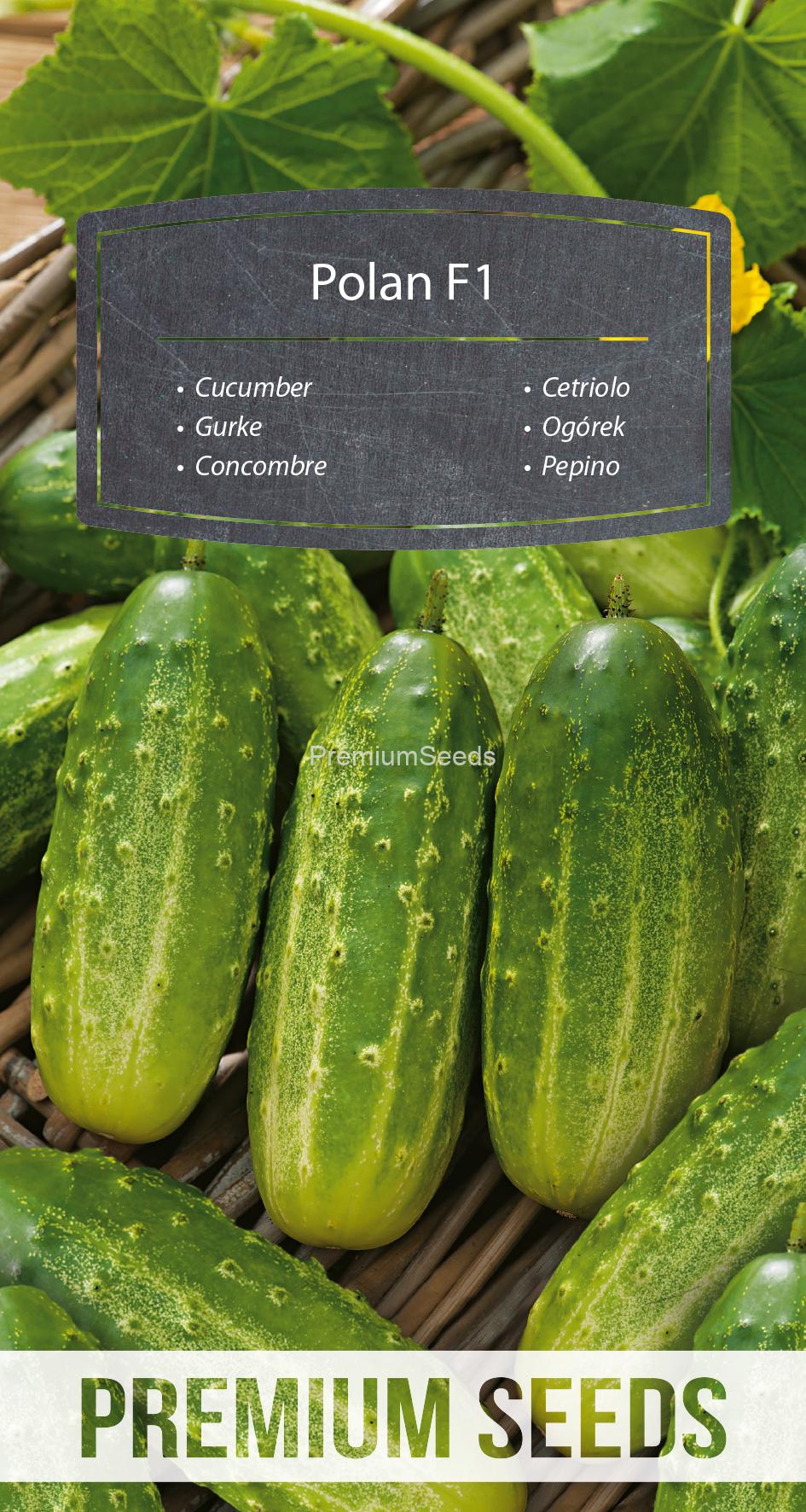 WORLD 14300466PA.indd Cucumber Polan F1- seeds