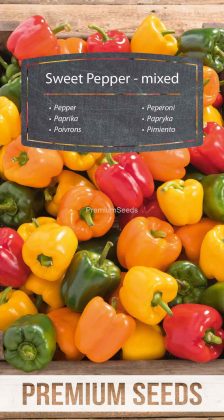 Paprika - Mischung - Samen