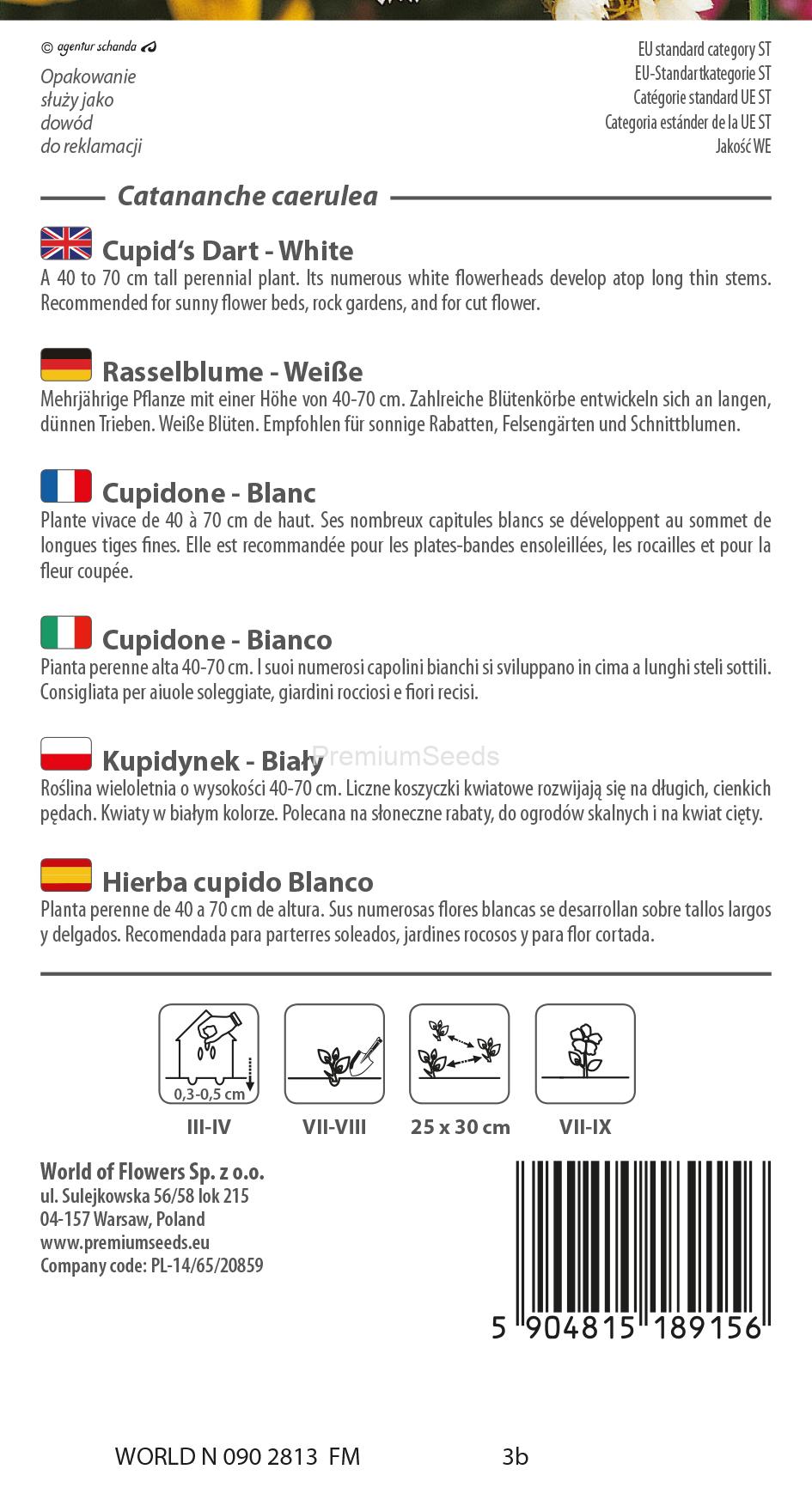 WORLD N 090 2813.indd