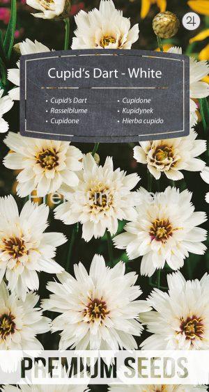 Rasselblume - Weiße - Samen