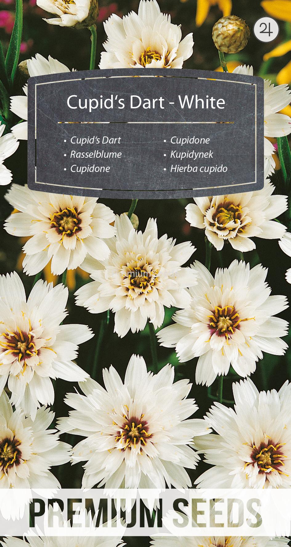 WORLD N 090 2813.indd Rasselblume - Weiße - Samen