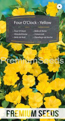 Belle de Nuit - Jaune - semence
