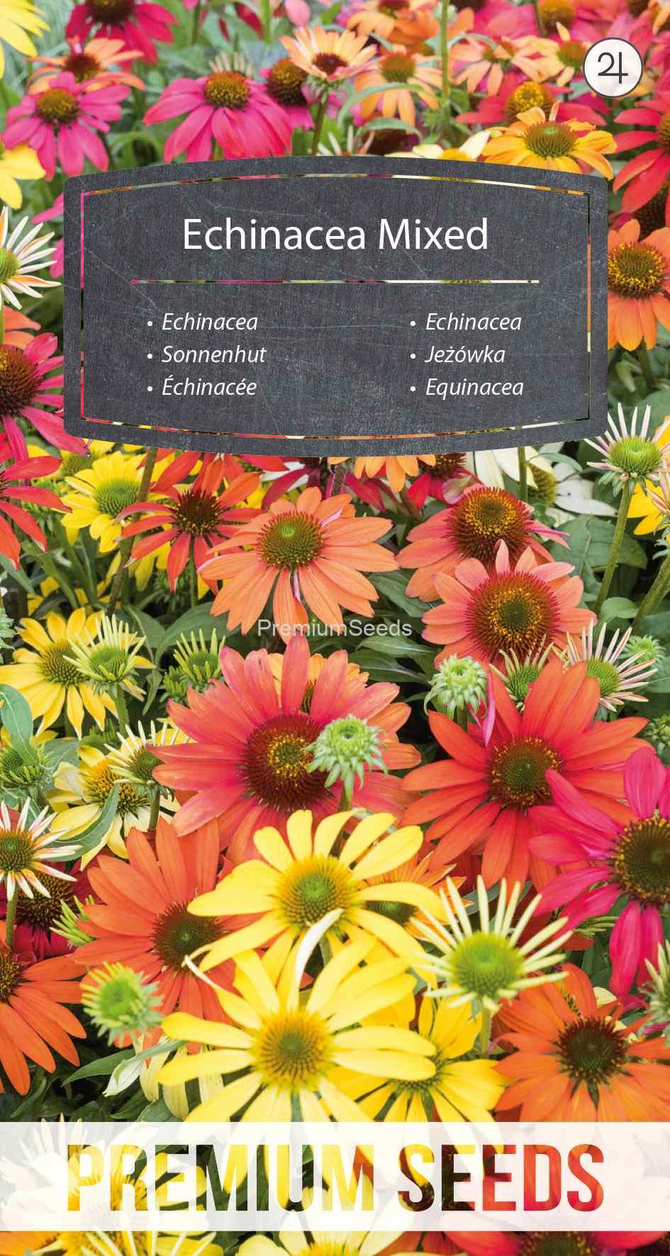 WORLD N 092 0336_VS Echinacea - Miscuglio - semi