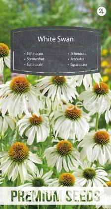 Echinacea White Swan - seeds