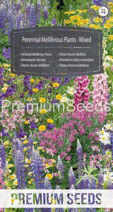 Perennial Melliferous Plants Mixed - seeds